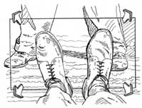 storyboards